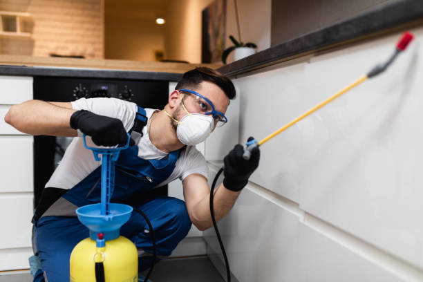 Trusted Brier, WA Pest Control Experts