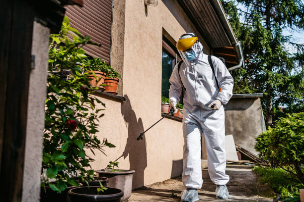 Best Residential Pest Control  in Brier, WA