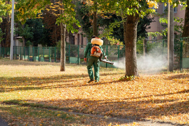 Best Termite Control Services  in Brier, WA