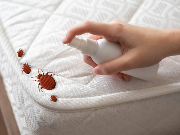 Best Emergency Pest Control  in Brier, WA