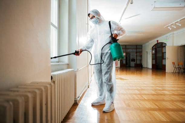 Best Flea Control Services  in Brier, WA