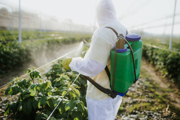 Best Exterminator Services  in Brier, WA